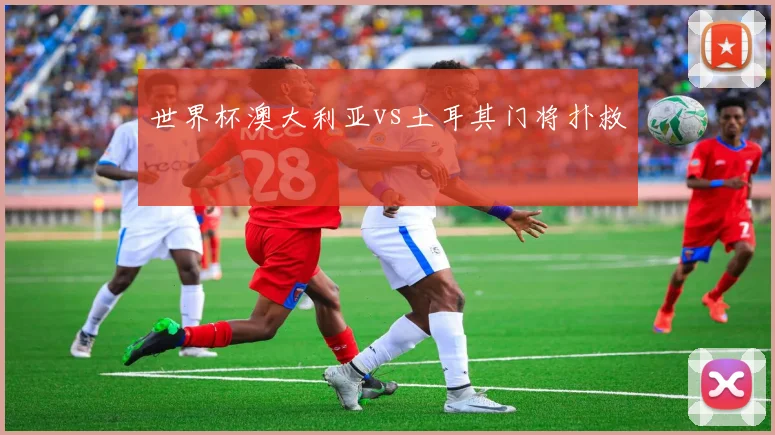 世界杯澳大利亚vs土耳其门将扑救