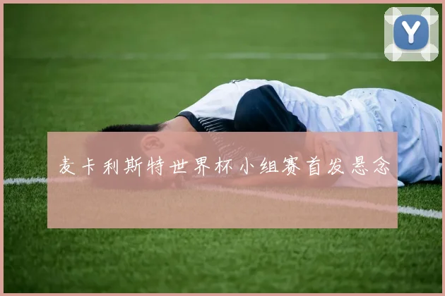 麦卡利斯特世界杯小组赛首发悬念