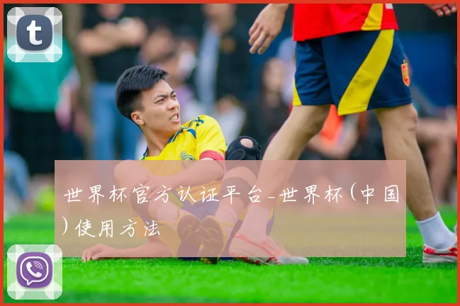 世界杯官方认证平台_世界杯(中国)使用方法