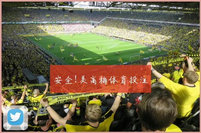 安全!美高梅体育投注