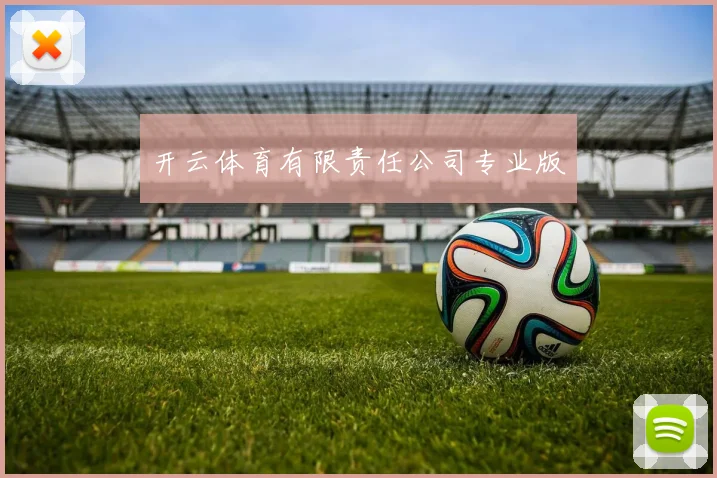 开云体育有限责任公司专业版