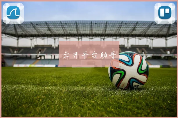 云开平台助手