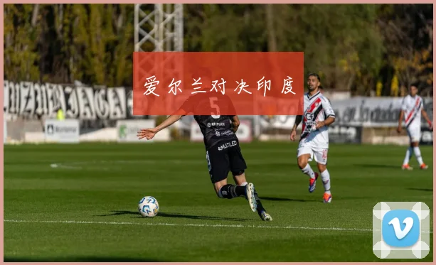 爱尔兰对决印度