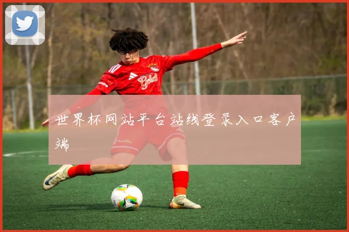 世界杯网站平台站线登录入口客户端