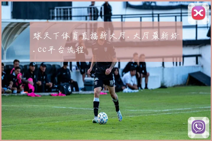 球天下体育直播新大厅.大厅最新好.cc平台流程