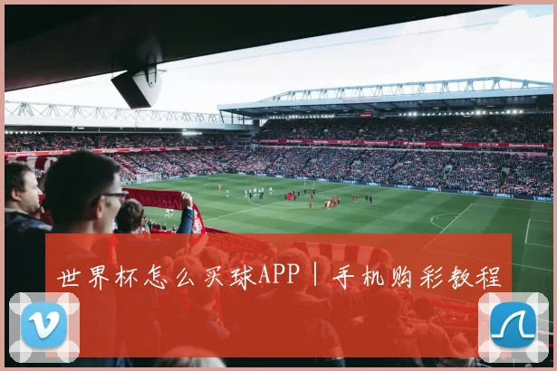 世界杯怎么买球APP｜手机购彩教程