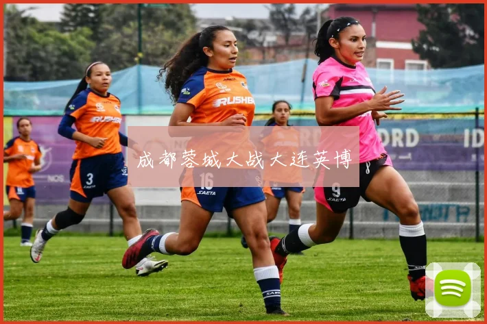 成都蓉城大战大连英博