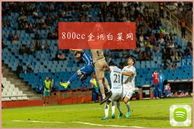 800cc全讯白菜网