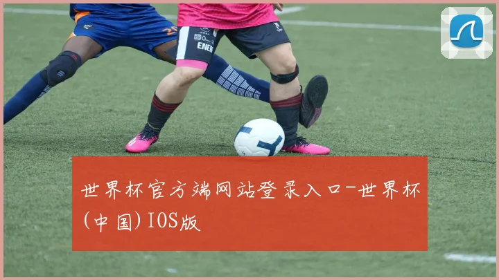 世界杯官方端网站登录入口-世界杯(中国)IOS版