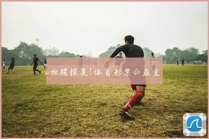 血腥报复!体育彩票公益金