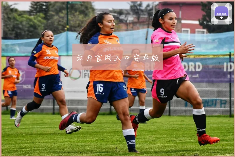 云开官网入口安卓版
