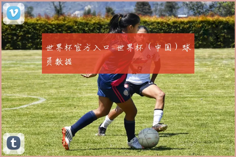 世界杯官方入口_世界杯（中国）球员数据