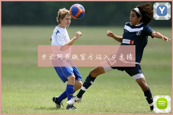 开云网页版官方站入口竞猜