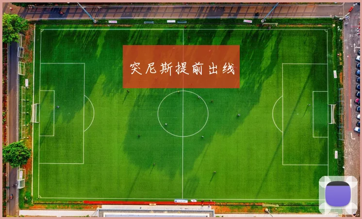 突尼斯提前出线