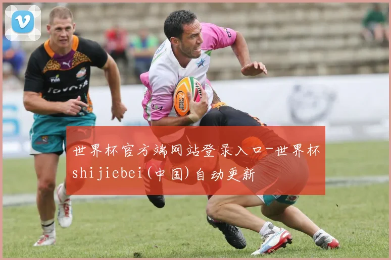 世界杯官方端网站登录入口-世界杯shijiebei(中国)自动更新