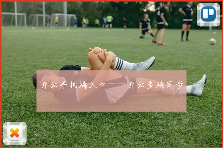 开云手机端入口——开云多端同步