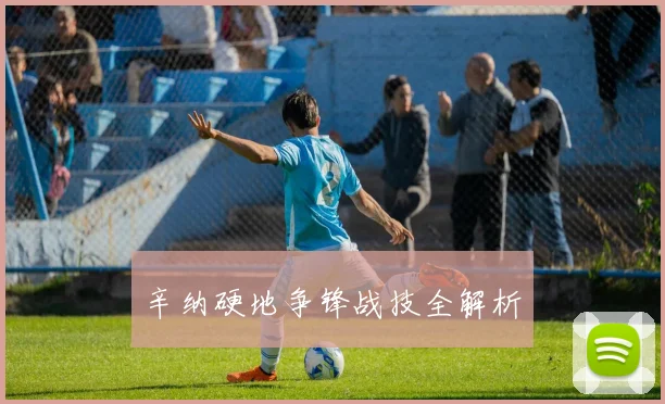辛纳硬地争锋战技全解析