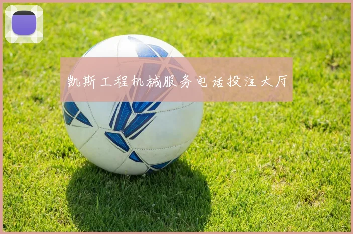 凯斯工程机械服务电话投注大厅