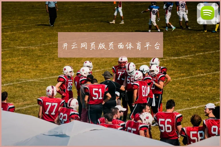 开云网页版页面体育平台