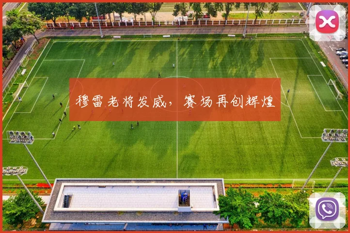 穆雷老将发威，赛场再创辉煌