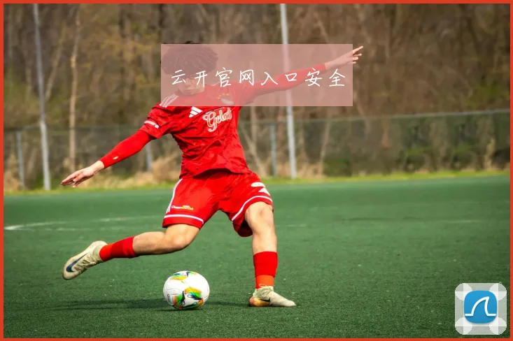云开官网入口安全