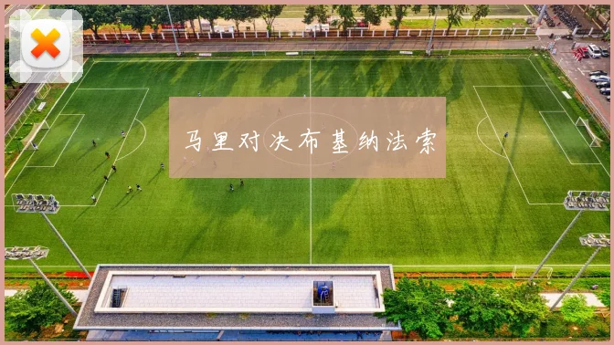 马里对决布基纳法索