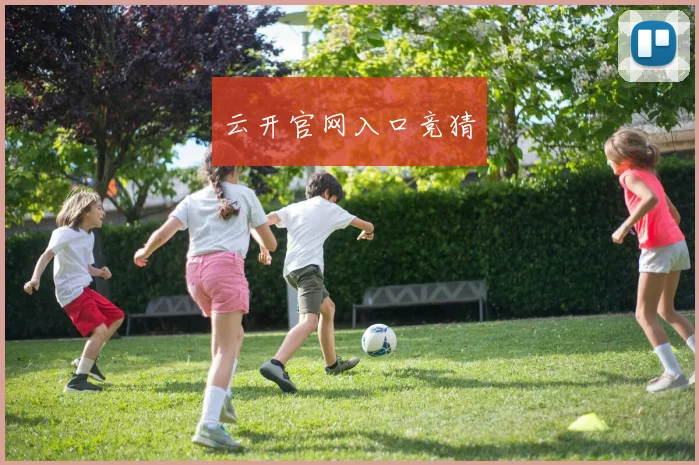 云开官网入口竞猜
