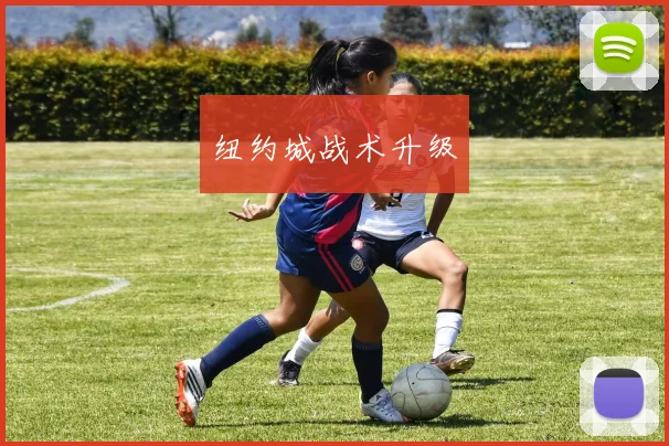 纽约城战术升级