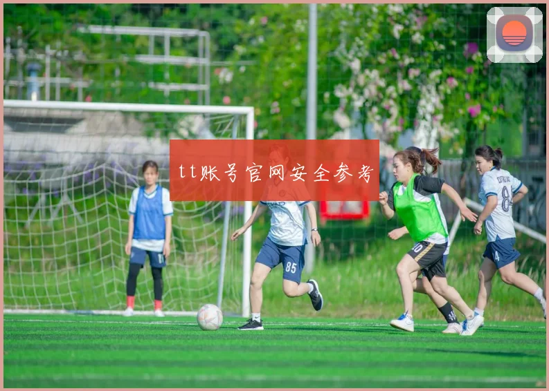 tt账号官网安全参考