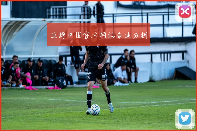 亚搏中国官方网站专业分析