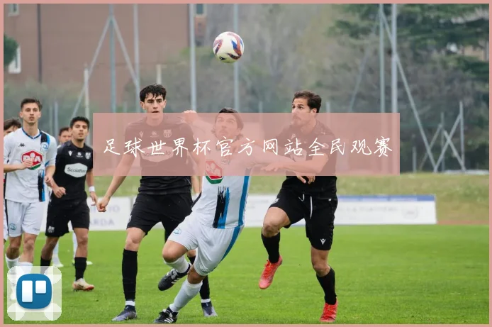 足球世界杯官方网站全民观赛