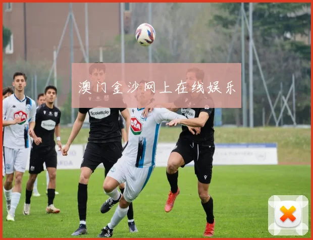 澳门金沙网上在线娱乐