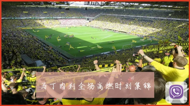 马丁内利全场高燃时刻集锦