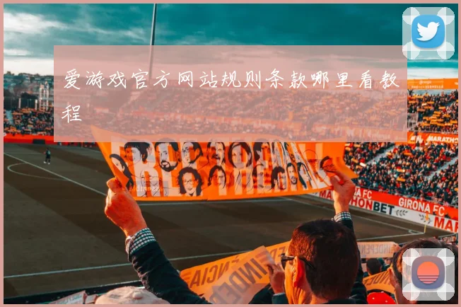 爱游戏官方网站规则条款哪里看教程